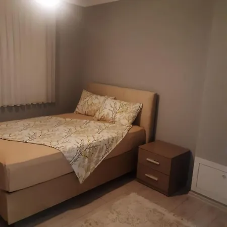Kaplan Tesis * Trabzon